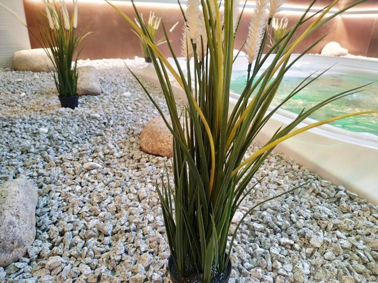 Anna SPA&Wellness Hotel Nejdek Exterior foto